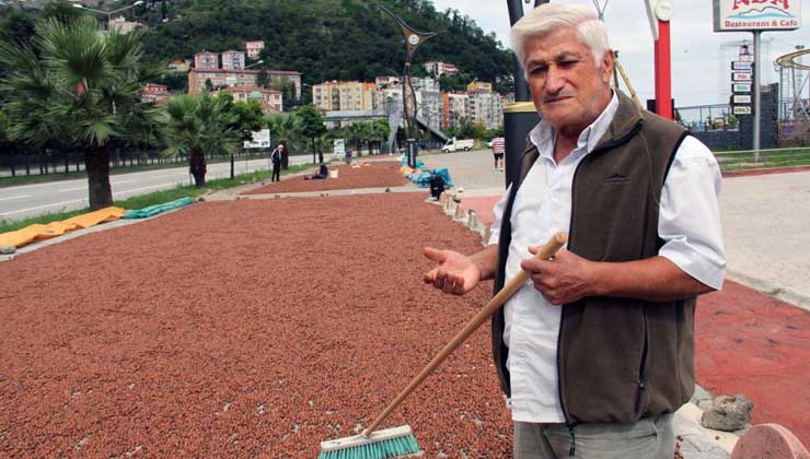 Giresun Ziraat Odaları İl Koordinasyon Kurulu Başkanı Abdullah Şahin, Cumhurbaşkanı