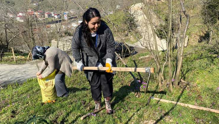 İl Tarım ve Orman Müdürlüğü ile Giresun Ziraat Odası işbirliğinde