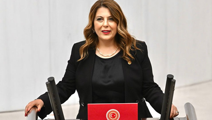 CHP Giresun Milletvekili Elvan