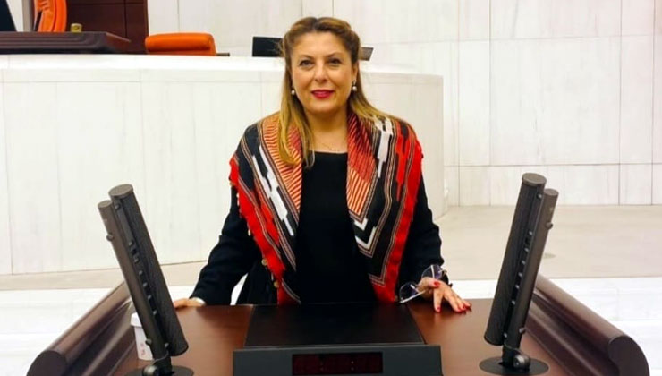 CHP Giresun Milletvekili Elvan