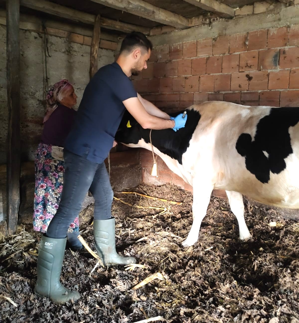 Hayvan sağlığına yönelik aşılama çalışmaları tamamlandı