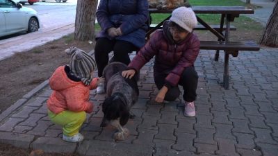 ATAKUM BELEDİYESİ'NİN KIRSAL HİZMETLER MÜDÜRLÜĞÜ’NE BAĞLI SOKAK CANLILARI EKİBİ, BUGÜNE