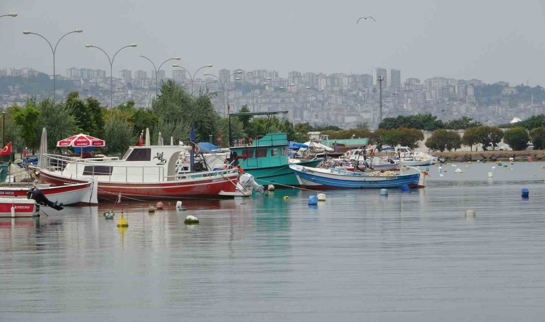 GEMİ SAHİBİ YA DA ORTAĞI KADINLARA DESTEKLEME TUTARININ YÜZDE 25