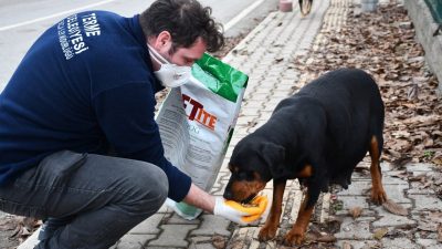 TERME BELEDİYE BAŞKANI ALİ KILIÇ, “ BELEDİYE OLARAK HAYVAN DOSTLARIMIZI