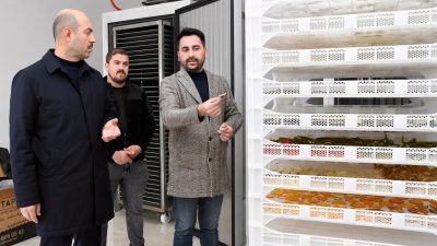 SAMSUN’UN TERME BELEDİYE BAŞKANI ALİ KILIÇ, GÜNDE YAKLAŞIK 1 TON