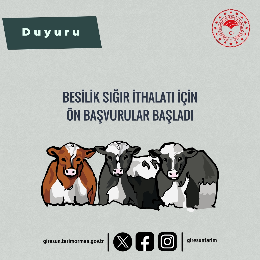 Besilik sığır ithalatı için ön başvurular başladı Besilik sığır ithalatı için ön başvurular başladı
