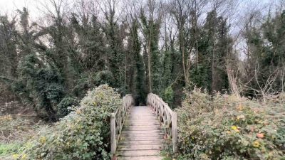 İNSANLARIN GİRMESİNE İZİN VERİLMEYEN SAMSUN'UN ÇARŞAMBA İLÇESİNDEKİ 'HACIOSMAN ORMANI'NA SADECE