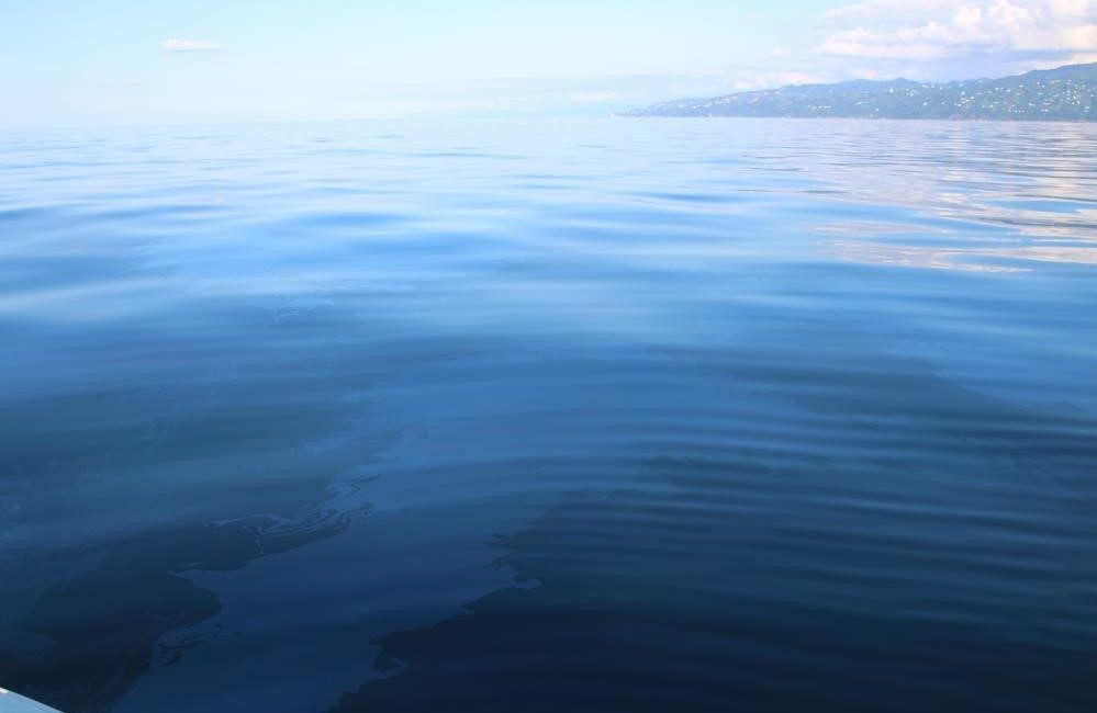 RİZE’NİN ÇAYELİ İLÇESİ AÇIKLARINDAN ÇIKAN PETROL HAKKINDA KONUŞAN ÇAYELİ BELEDİYE