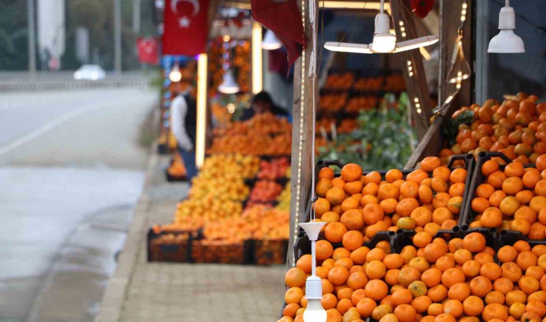 RİZE'NİN DEREPAZARI İLÇESİNDE YETİŞEN