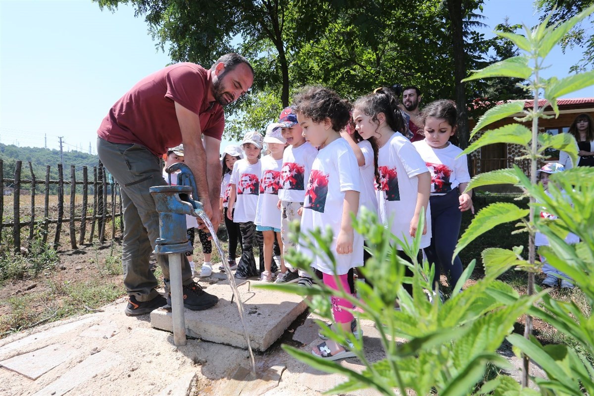 Doğayı Doğada Anlatan Eği̇ti̇m Kampüsü: Cani̇k Orman Okulu