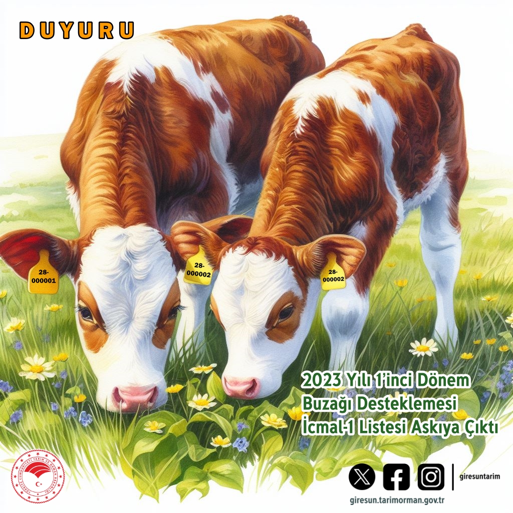Buzağı desteklemesi icmal listesi askıya çıktı
