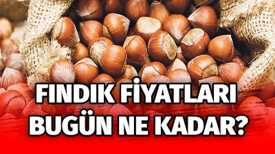 27 Ocak 2024 Cumartesi günü itibariyle Giresun kalite fındık ne
