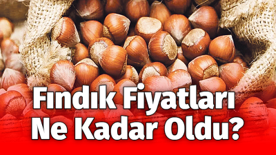 Giresun'da üretilen kaliteli fındıkların rekabetçi bir fiyatla pazara sunulmasına olanak