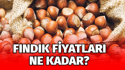 4 Şubat 2024 Pazar günü itibariyle Giresun kalite fındık, sivri