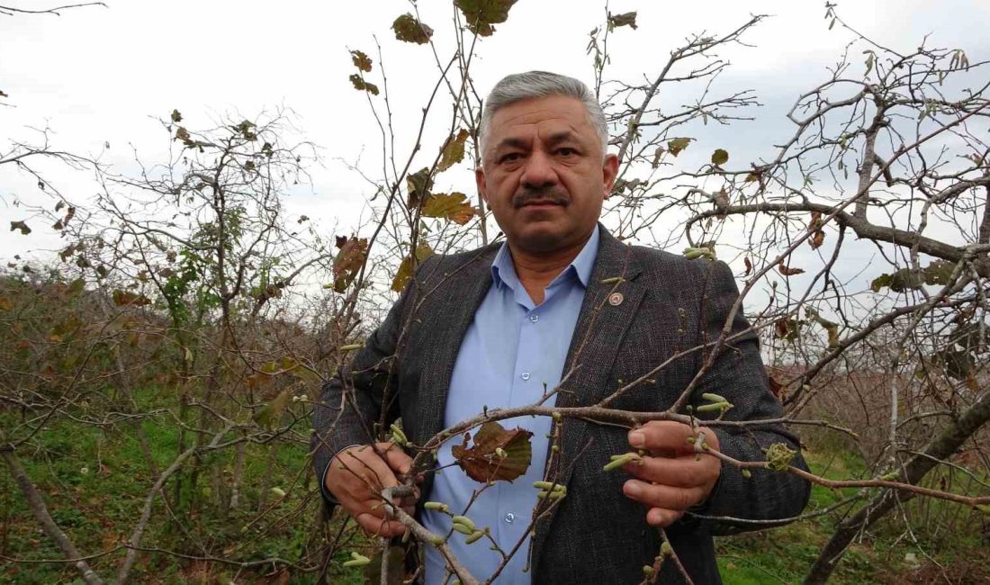 Türkiye Ziraat Odaları Birliği Yönetim Kurulu Üyesi Arslan Soydan, mevsim