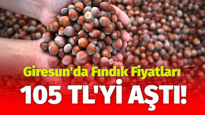 Giresun'da uzun bir sürenin ardından fındık fiyatları olumlu bir şekilde