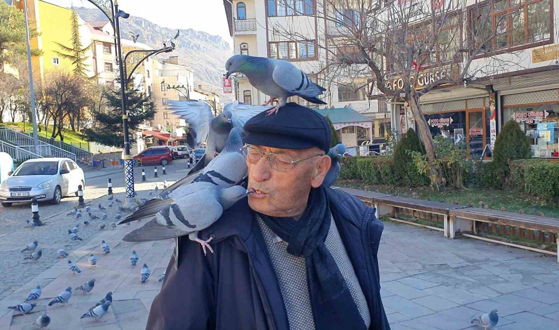 KADİR AY, HER SABAH CEBİNE DOLDURDUĞU LEBLEBİLERİ GÜVERCİNLERE YEDİRİYOR