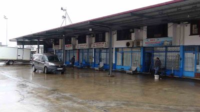 Karadeniz’de son yılların en bereketli hamsi sezonu yaşanırken, yılbaşından sonra