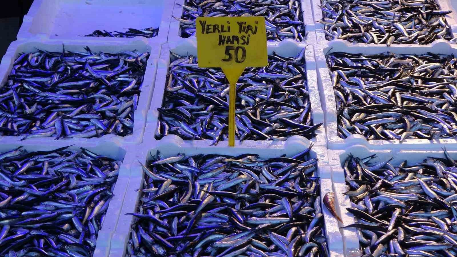 2023 YILININ SON GÜNÜNDE KİLOSU 60 TL’DEN SATILAN HAMSİ YENİ