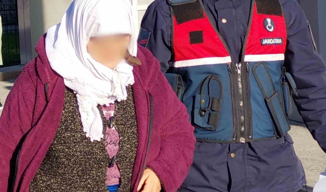 HİNDİ HIRSIZLIĞI İÇİN L.S.(58) ADLI KADIN MAHKEMECE SERBEST BIRAKILDI.