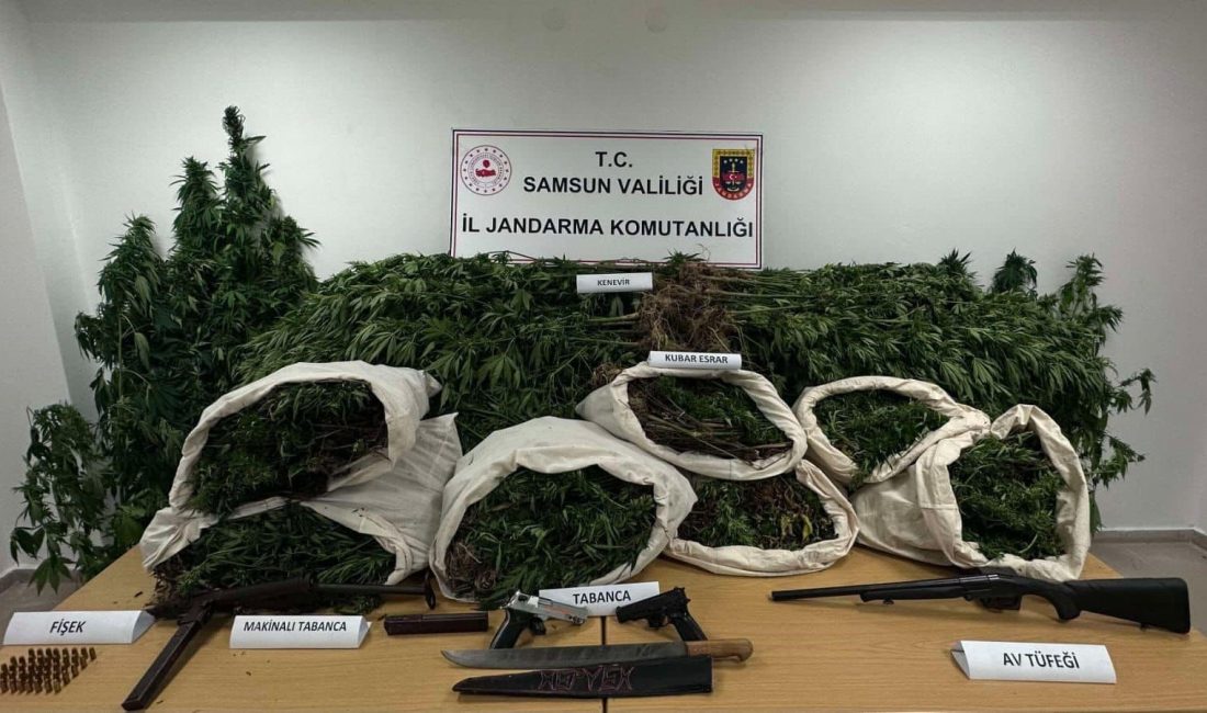 KAVAK’TA ZEHİR TACİRLERİNE GÖZ AÇTIRILMADI