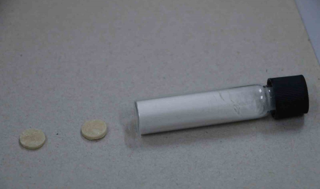 RECEP TAYYİP ERDOĞAN ÜNİVERSİTESİ (RTEÜ) ÖĞRETİM ÜYELERİ KEMİK VE PROTEZ