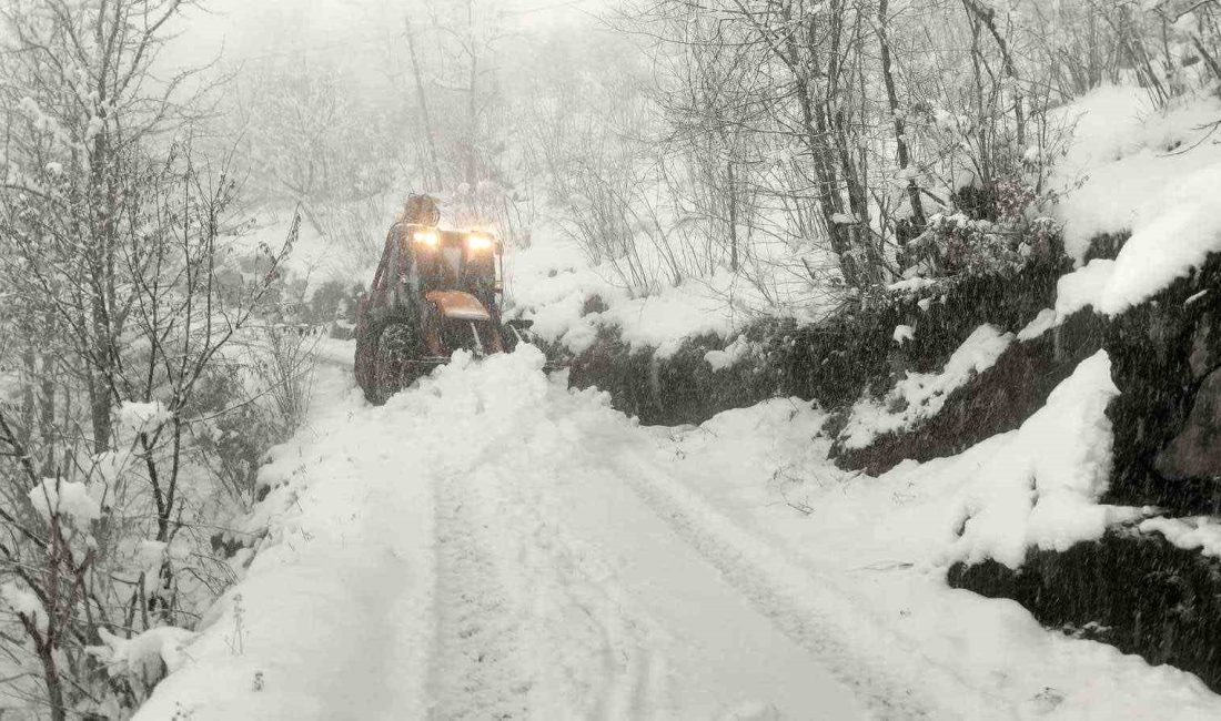 Giresun'da etkili olan yoğun kar yağışı nedeniyle 215 köy yolu