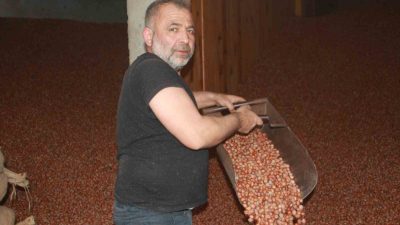 13 Ekim 2024 Serbest Piyasa Fındık Fiyatları: Giresun'da Fiyatlar Yükselişte...