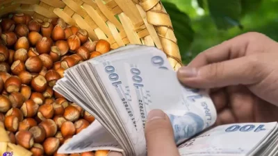 Giresun İl Tarım ve Orman Müdürlüğü “2023 Üretim Yılı Mazot