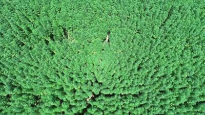 SAMSUN TARIM VE ORMAN İL MÜDÜRÜ İBRAHİM SAĞLAM, 2023 YILINDA