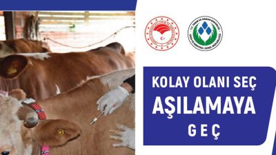 Tarım ve Orman Bakanlığı, ülkemizdeki hayvancılık sektörünü Şap hastalığına karşı