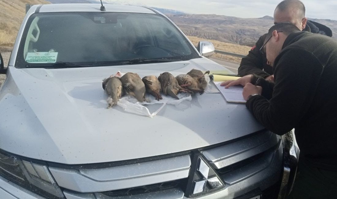 SİVAS’TA USULSÜZ AVLANAN 4 AVCIYA YASAL İŞLEM UYGULANIRKEN 6 ADET