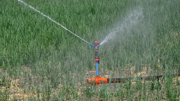 Bireysel Sulama Sistemlerine Yüzde 50 Hibe Desteği Giresun İl Tarım ve Orman Müdürlüğü, tarımsal faaliyetleri desteklemek amacıyla