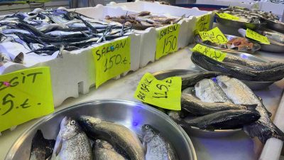 Giresun Balıkhanesi’nde 5 Mart 2026 Perşembe günü itibarıyla tezgâhlardaki balık