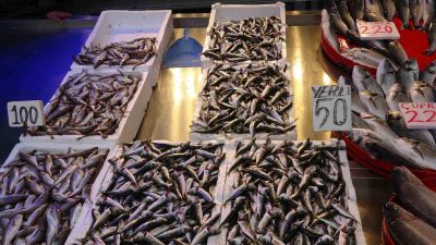 TEZGÂHLARDA ARTIK HAMSİNİN YERİNİ İSTAVRİT ALDI