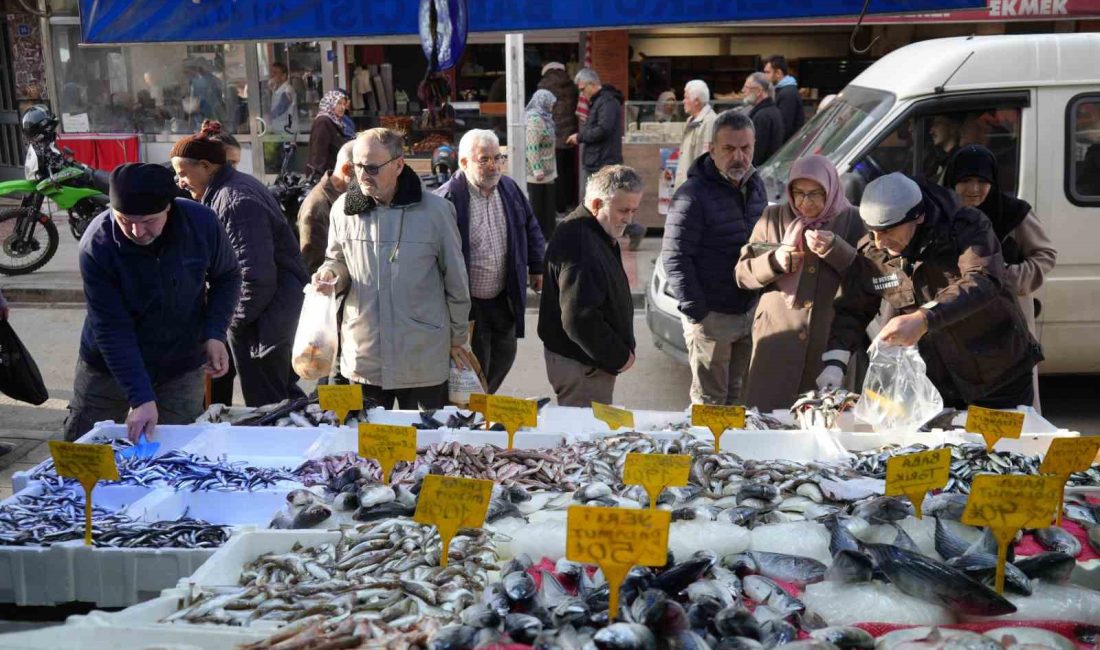 YENİ YIL İLE BİRLİKTE HEM YAĞLANAN HEM DE BOYU BÜYÜYEN