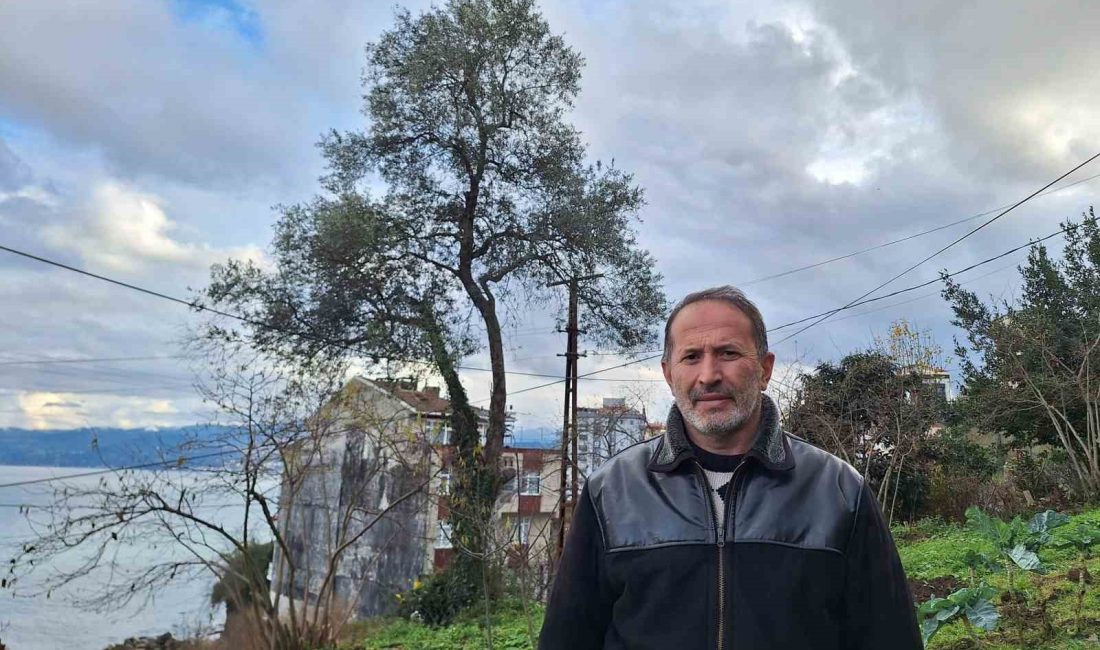 Osmanlı Devleti’nin 1486-1583 yılları arasında tarihi belgelerinde yer alan Trabzon’un