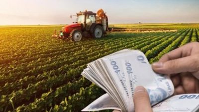 Giresun İl Tarım ve Orman Müdürlüğü “2023 Üretim Yılı Fındık