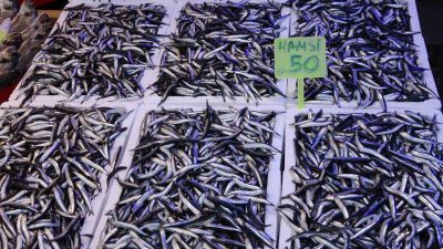 Türkiye genelinde bu yılın Ocak ayında hamsi ihracatından 758 bin