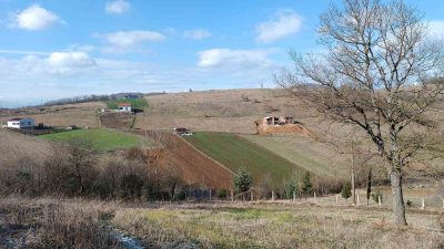 Tapu ve Kadastro Samsun (10.) Bölge Müdürlüğü tarafından 2023 yılında