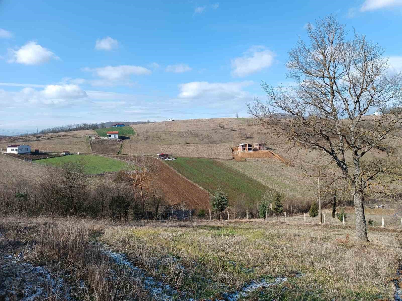 Tapu ve Kadastro Samsun (10.) Bölge Müdürlüğü tarafından 2023 yılında