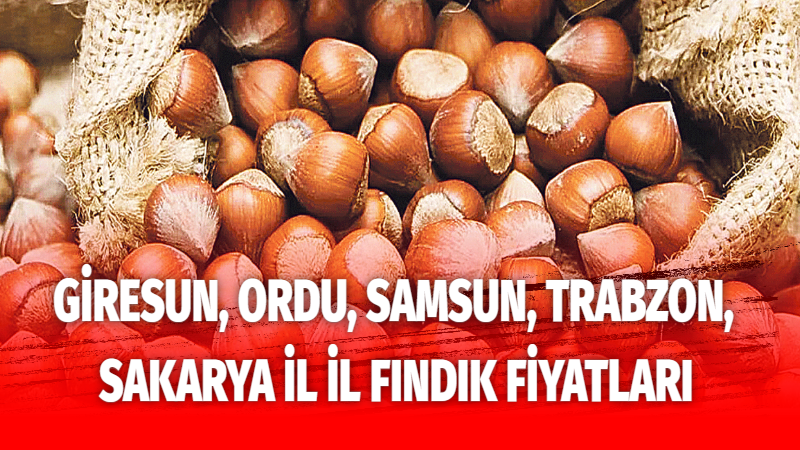 Giresun, Ordu, Samsun, Trabzon, Sakarya il il fındık fiyatları
