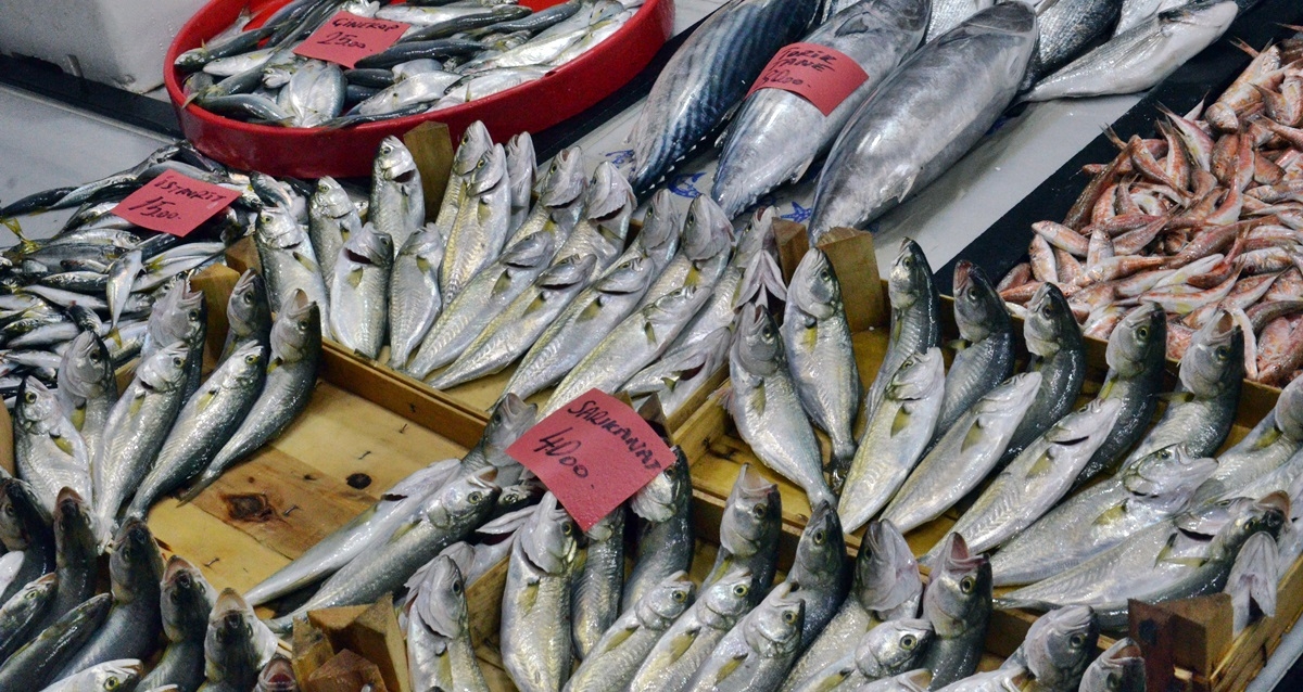 Giresun’da Güncel Balık Fiyatları Ne Kadar?