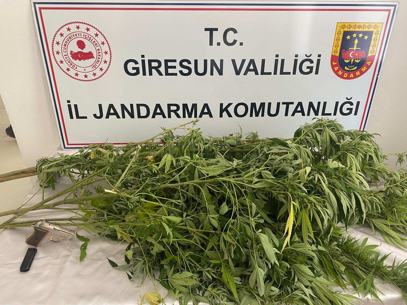 Giresun'da Uyuşturucu Operasyonu