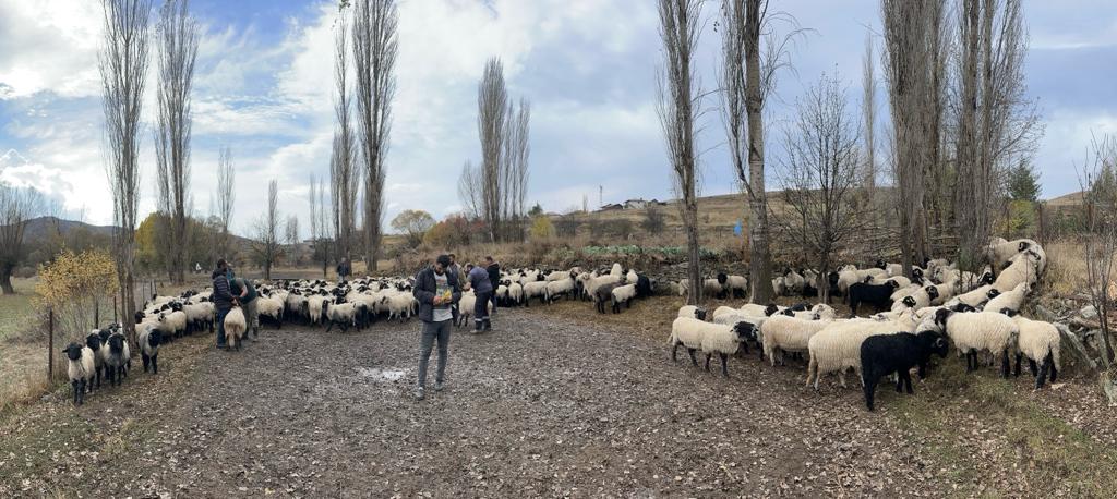 Giresun İl Tarım ve