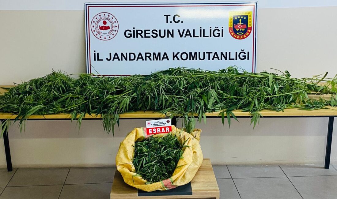 Giresun Valiliği İl Jandarma