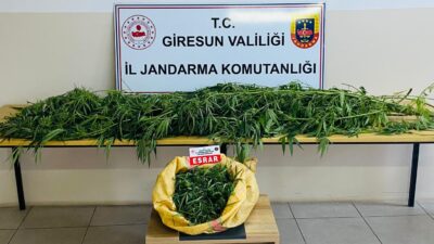 Giresun Valiliği İl Jandarma Komutanlığı, KOM Şube Müdürlüğü ve İstihbarat