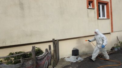 Giresun İl Tarım ve Orman Müdürlüğü, kahverengi kokarca zararlısına karşı