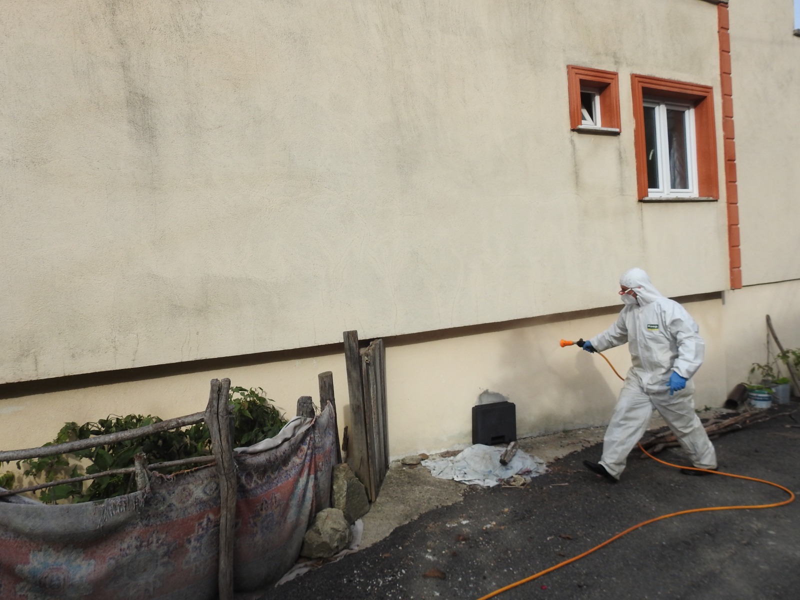 Giresun İl Tarım ve Orman Müdürlüğü, kahverengi kokarca zararlısına karşı