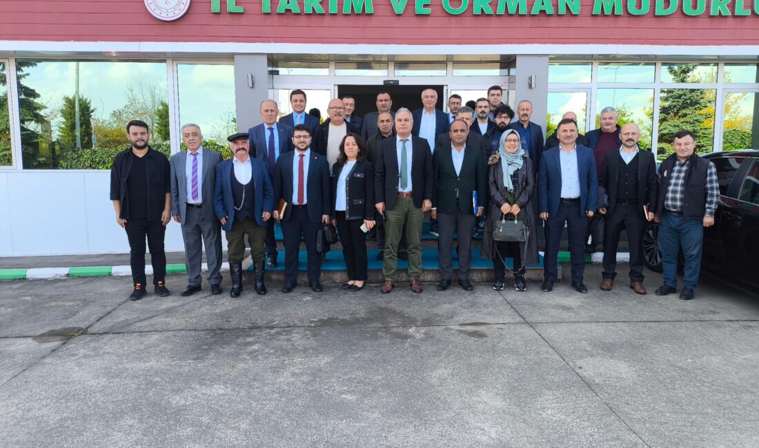 Tarım ve Orman Bakanlığı tarafından hayvancılık sektörüne yönelik hazırlanan yeni